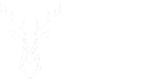 LP Création